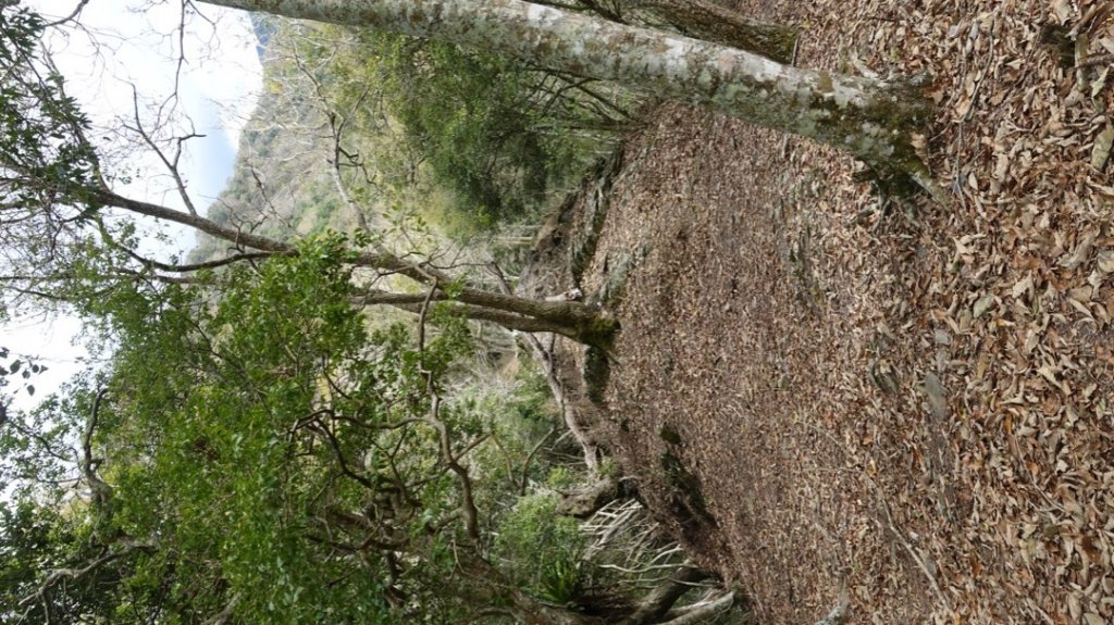 卡社山、拉夫郎西北峰_1616496