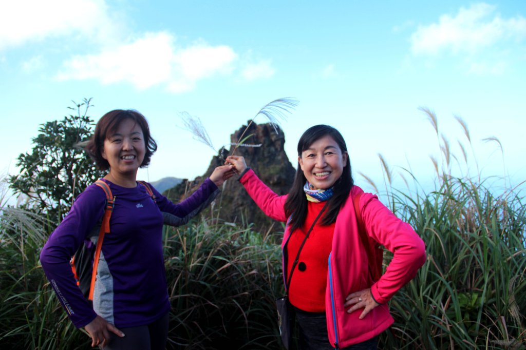【金瓜石】漫山芒花怒放浪漫，礦山藍海奇景夢幻！_2964140