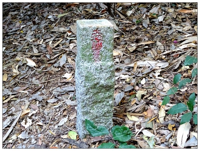 坪林山/台中-太平封面圖