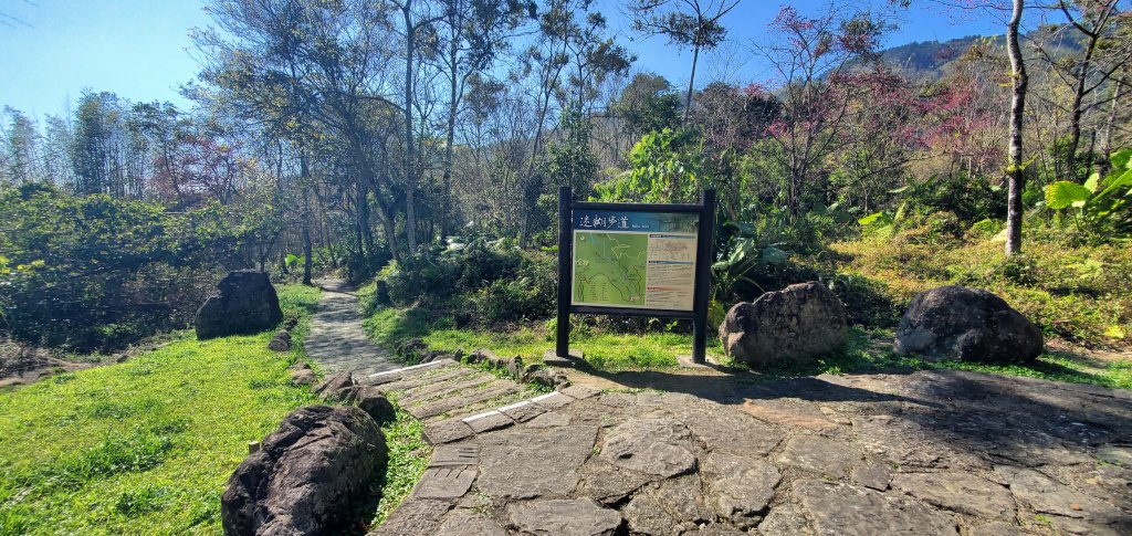 2025-01-30迷糊步道_2704433