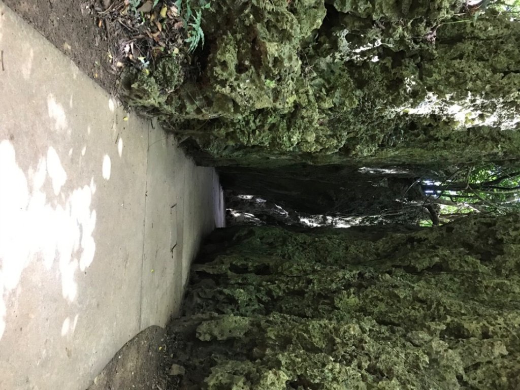 要活就要動(^^)_1105647