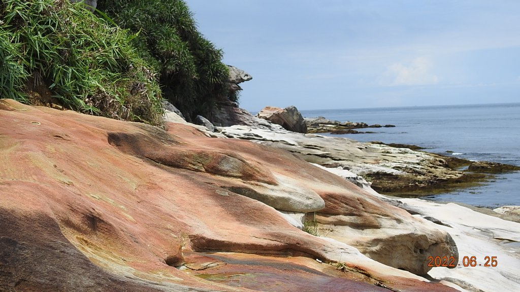 雲山水花鳥蝶-天龍國阿伯的日常6/25&26_1744224