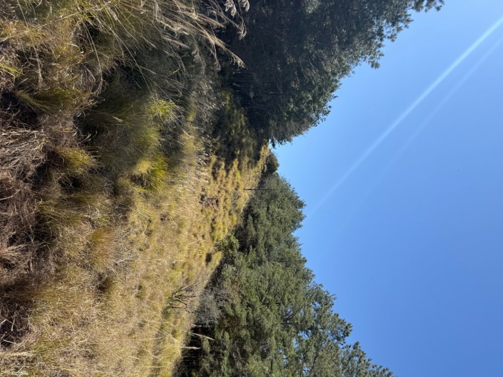 馬武霸O型_2745321