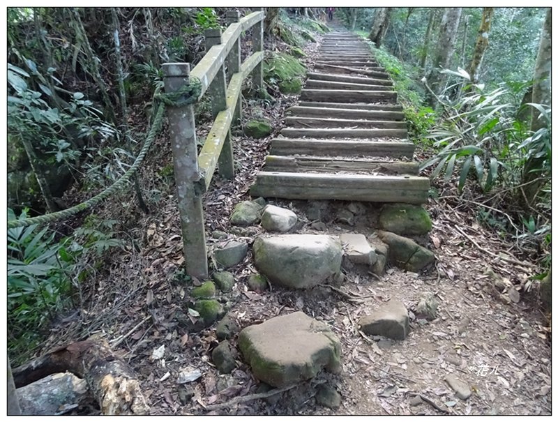 馬那邦山(小百岳)/上湖登山口_2427048