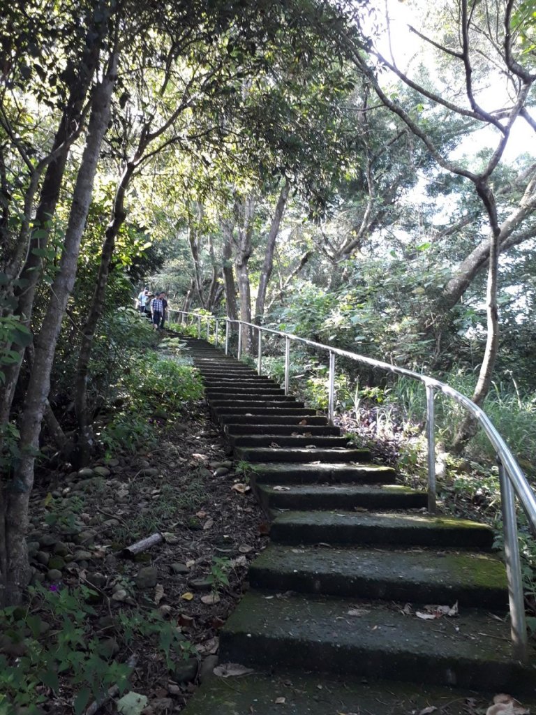 彰化員林臥龍坡環藤山步道20190714封面圖