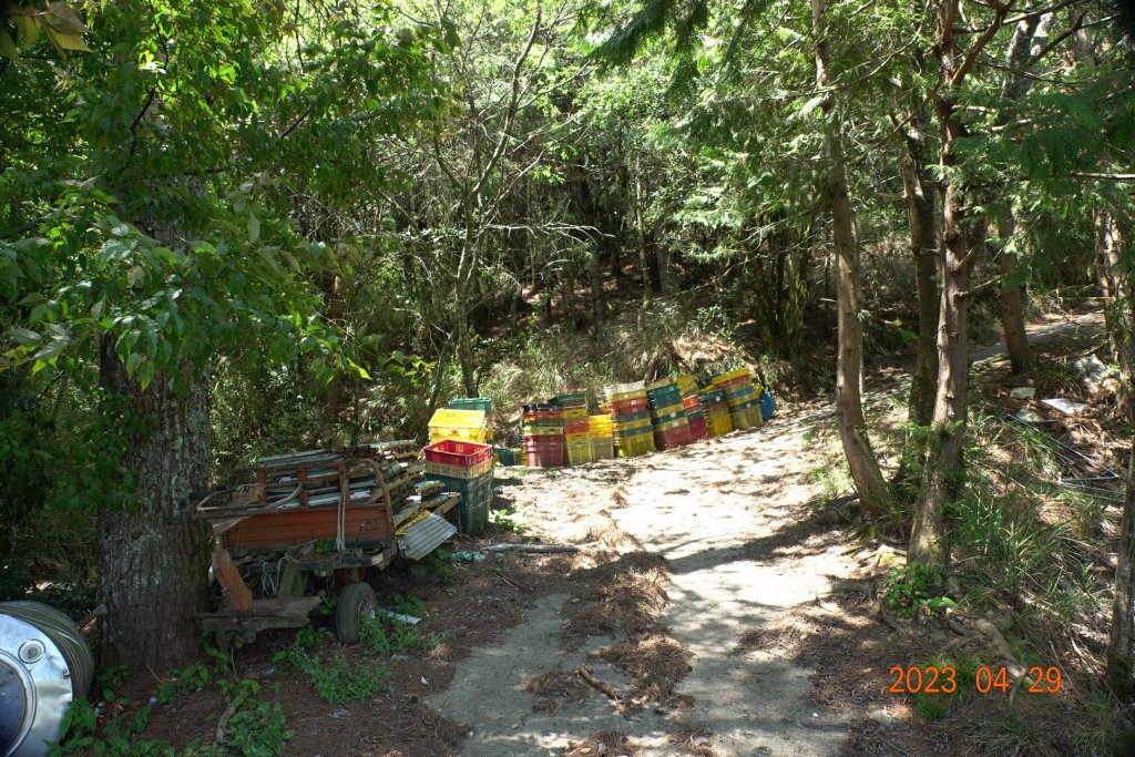 南投 仁愛 武法奈尾山_2133720