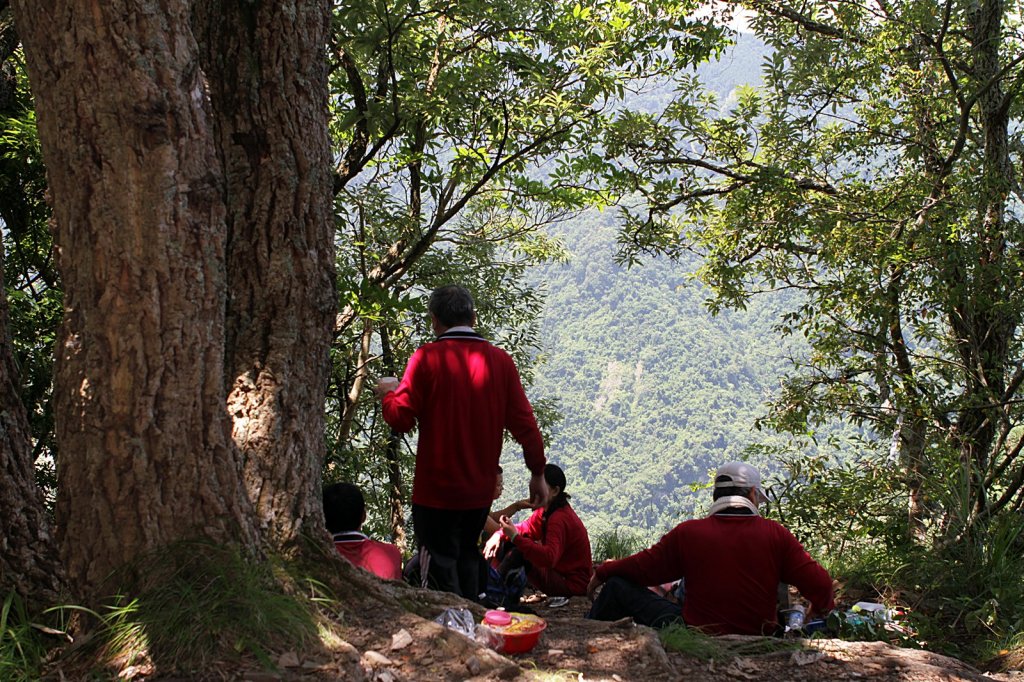 泰安虎山_879406