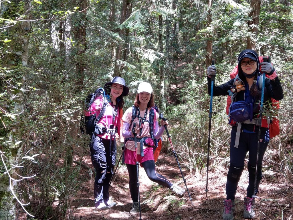 武陵四秀_1024432