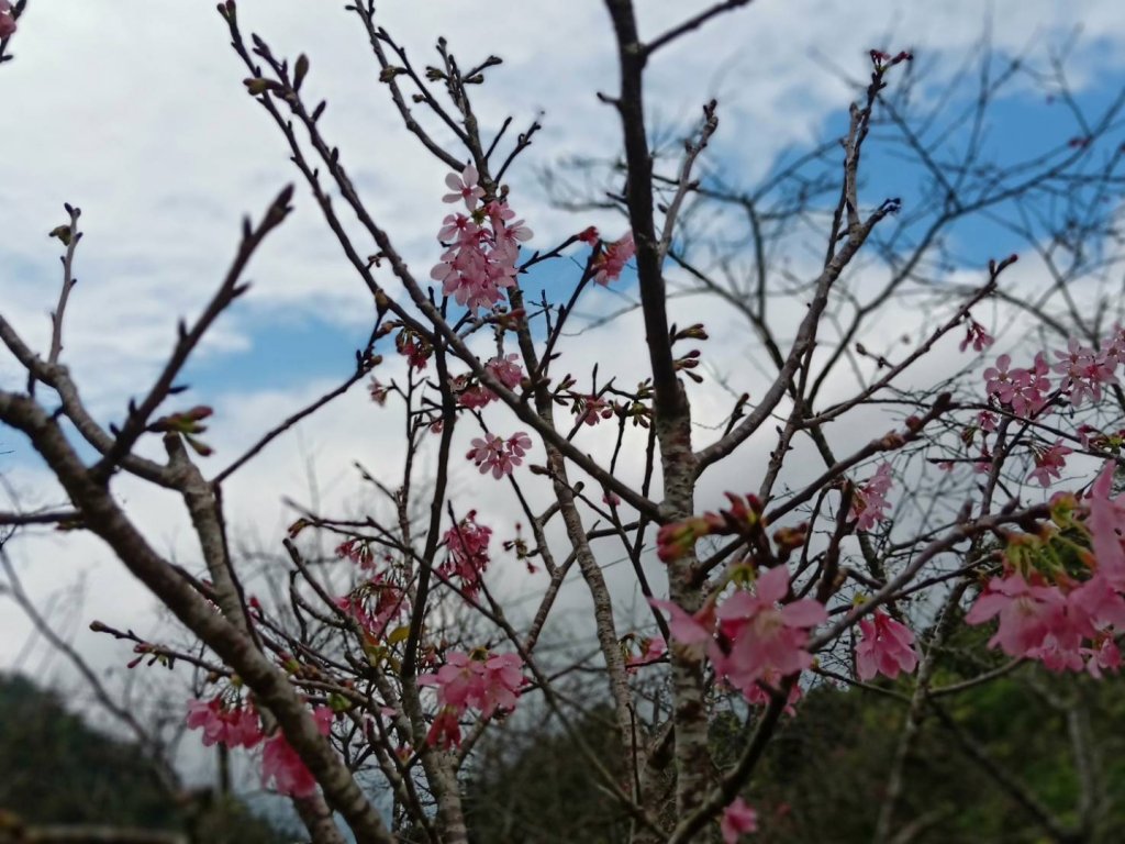 我與佐倉的約會_967524