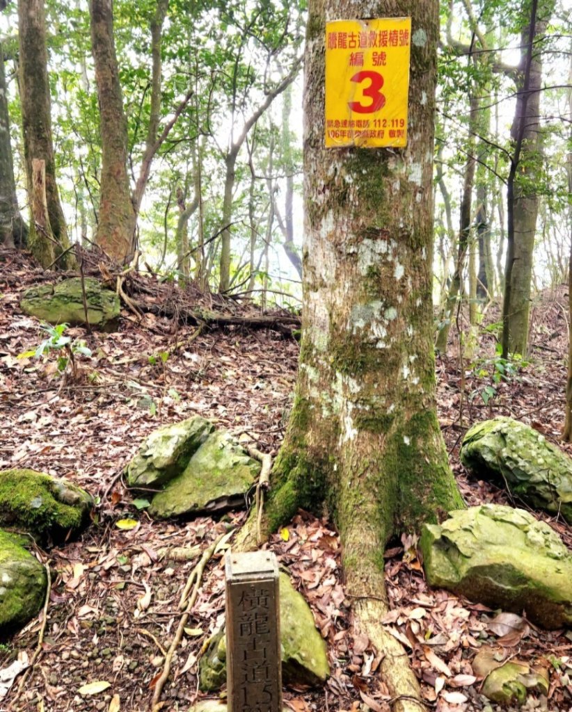 【中級山縱走】水雲三星，橫龍山，騰龍山，橫龍古道_2742959