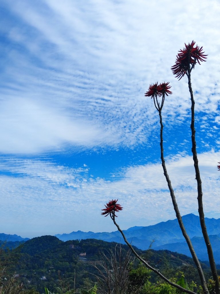 關刀山+仙山_2747346