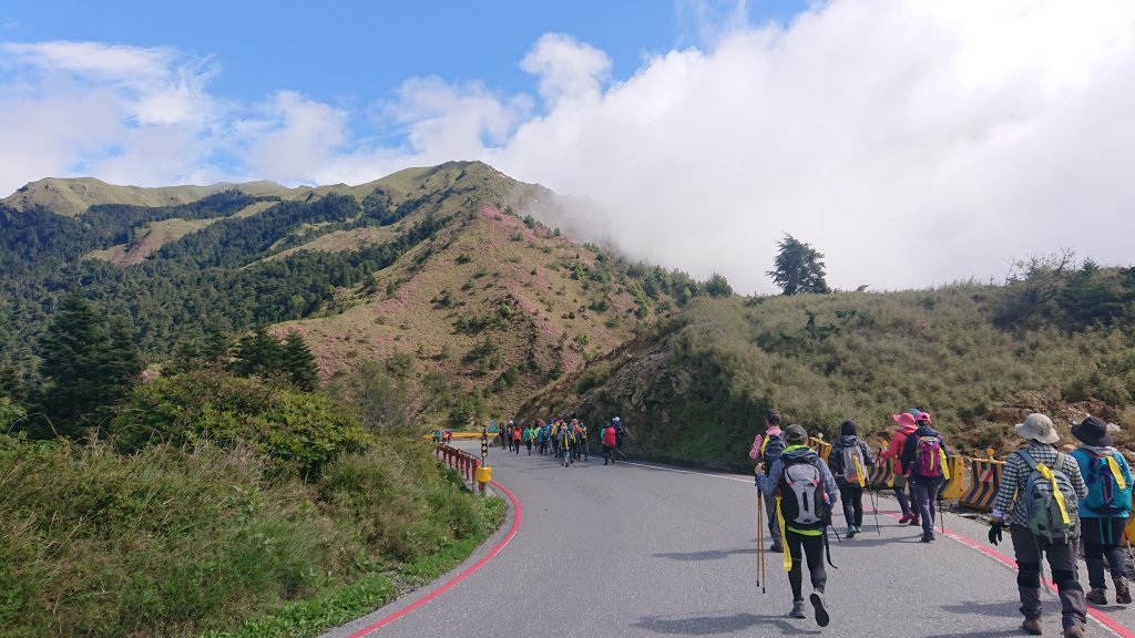 合歡山北峰_725205