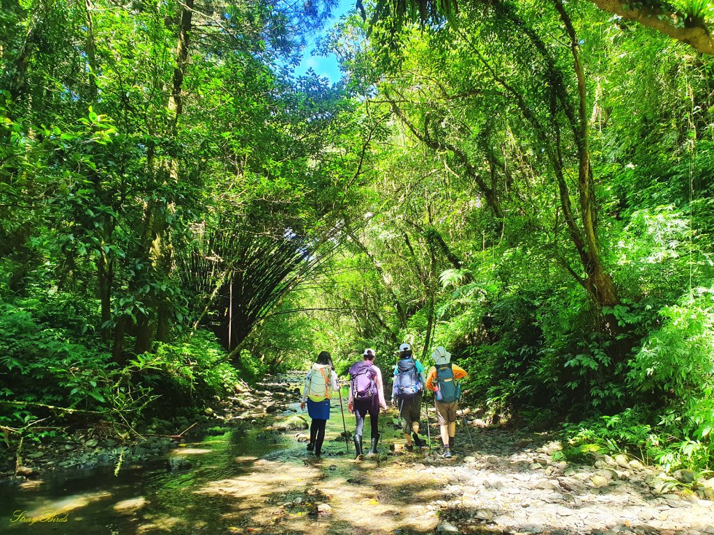 【淡蘭中路秘境】美得令人窒息的坪溪水路_1453315