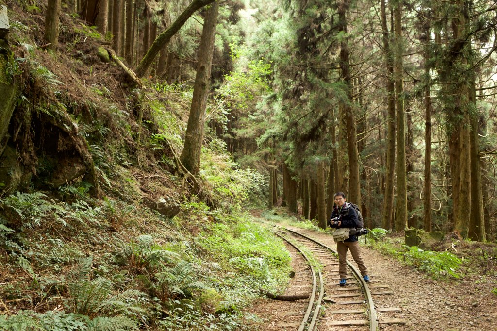 眠月線：久久不能成眠_553678