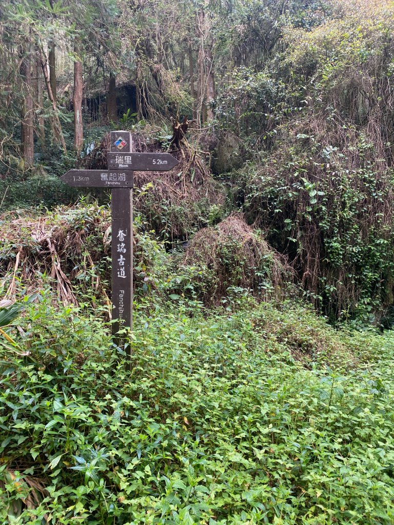 1120329奮瑞古道_2643503