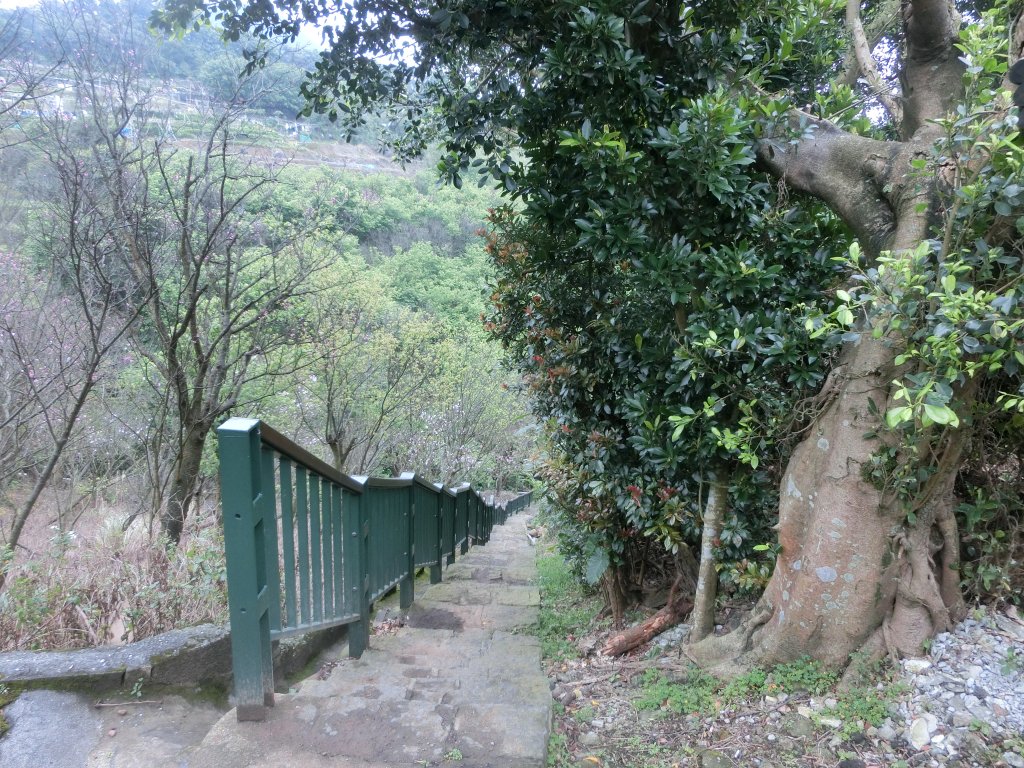 風尾步道．十八拐圳步道．東昇步道_546452