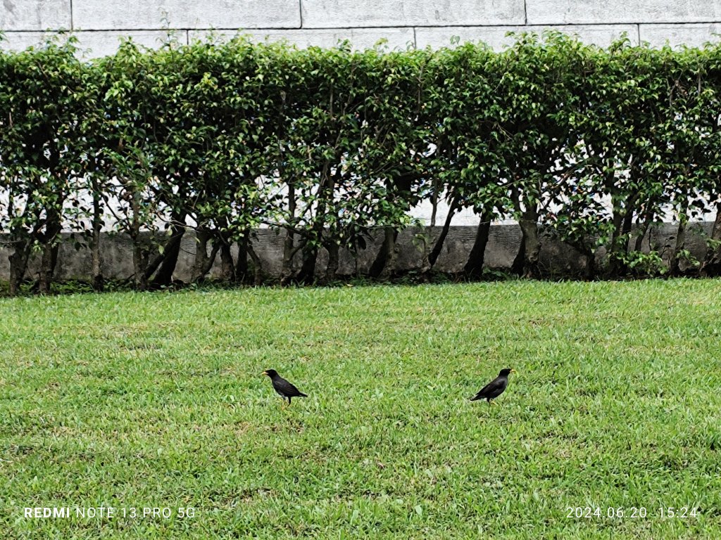 師大公園、中正紀念堂【走路趣尋寶，全臺齊步走】_2531356