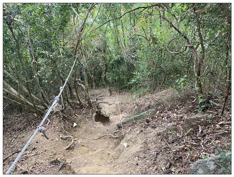 旗靈縱走(旗尾山、福美山、金字面山、人頭山、靈山)_2996438
