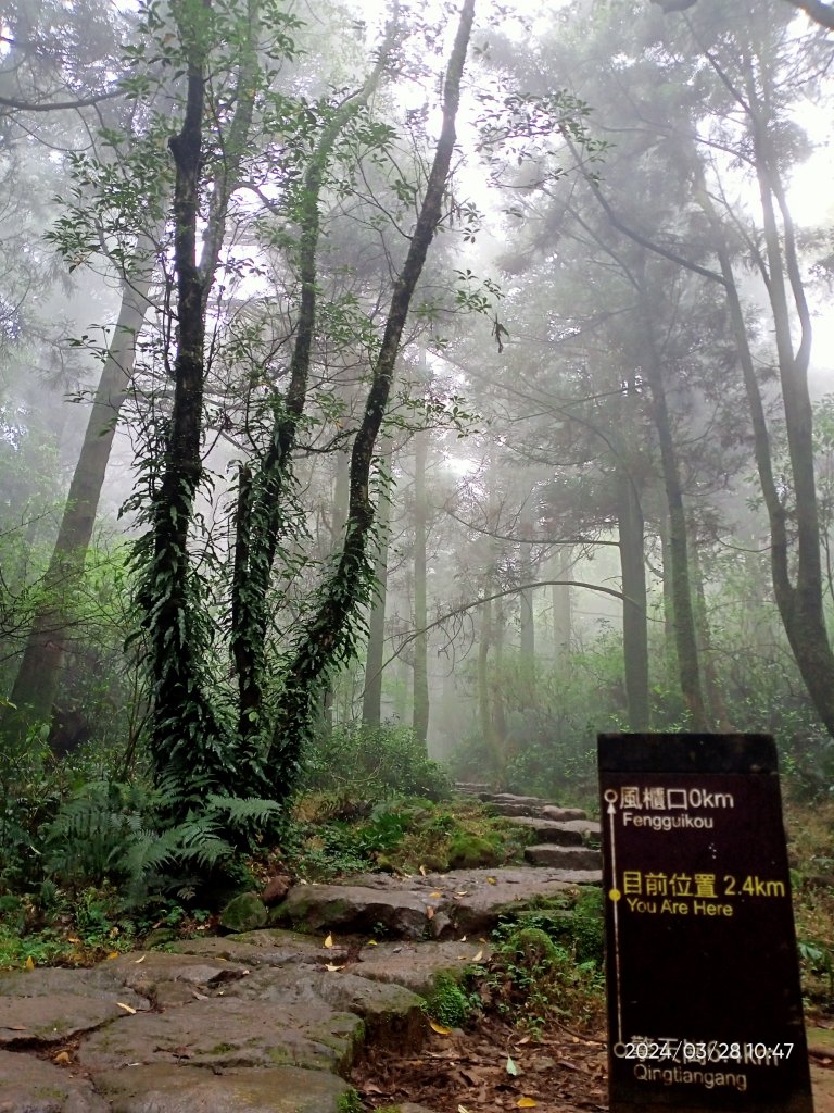 【臺北大縱走 3】擎天崗→石梯嶺→頂山→風櫃嘴_2468769