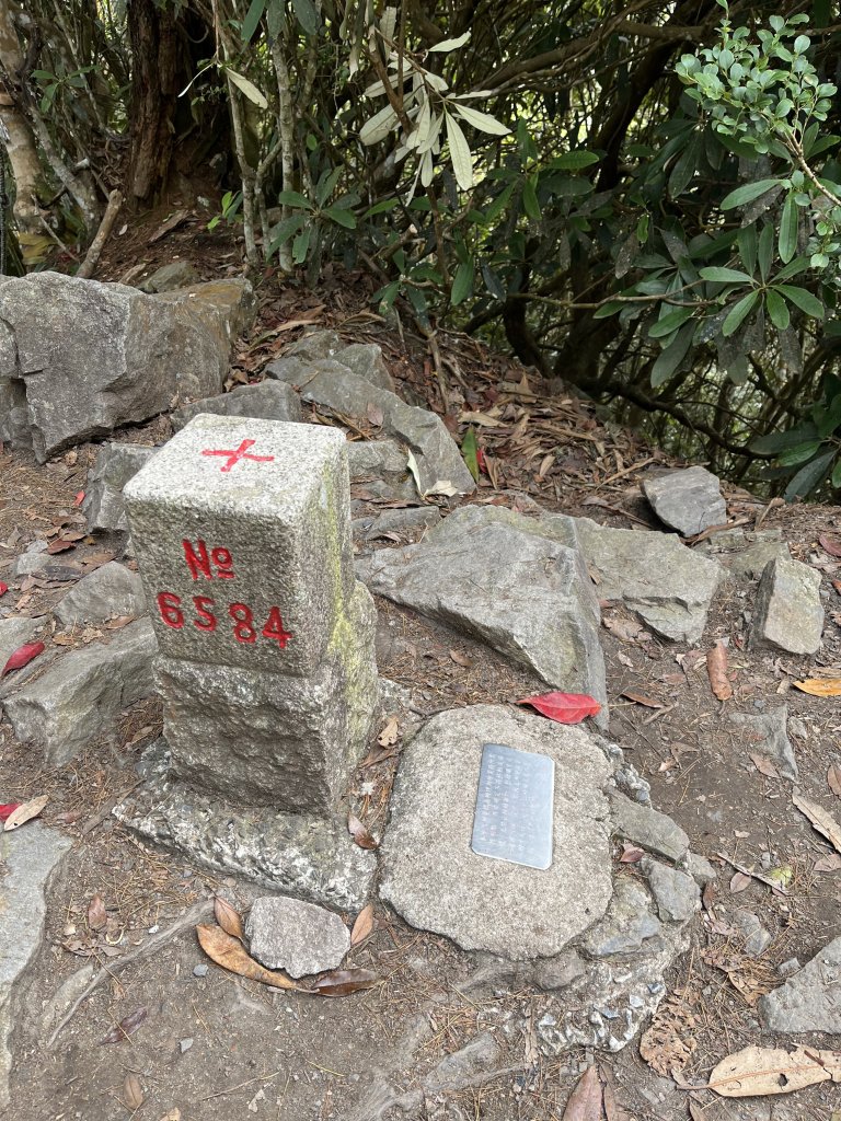 2021_1230 屋我尾山_2598946