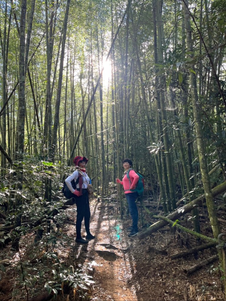 如夢幻般接觸日月潭最高峰水社大山_2386649