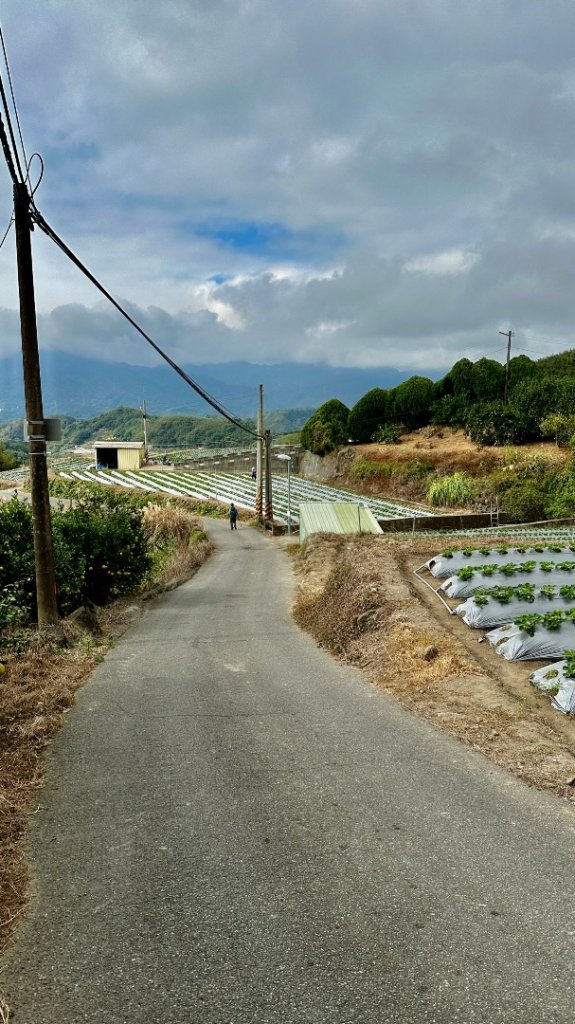 馬那邦山O走_2370080