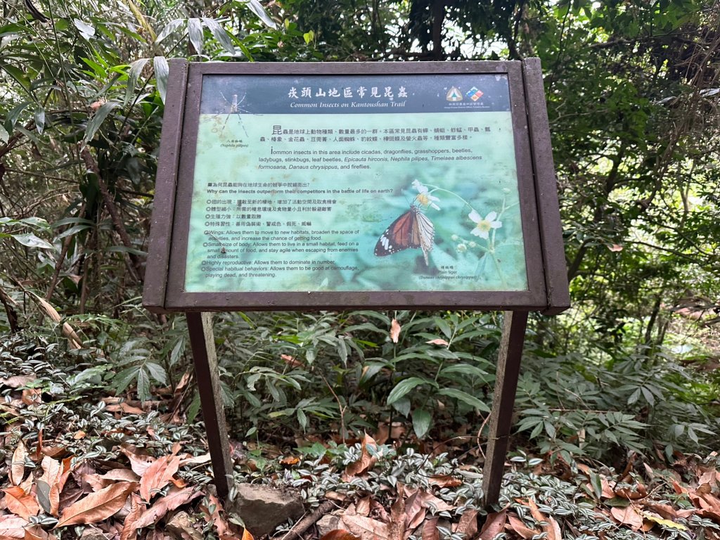 輕鬆行腳崁頭山_1990540