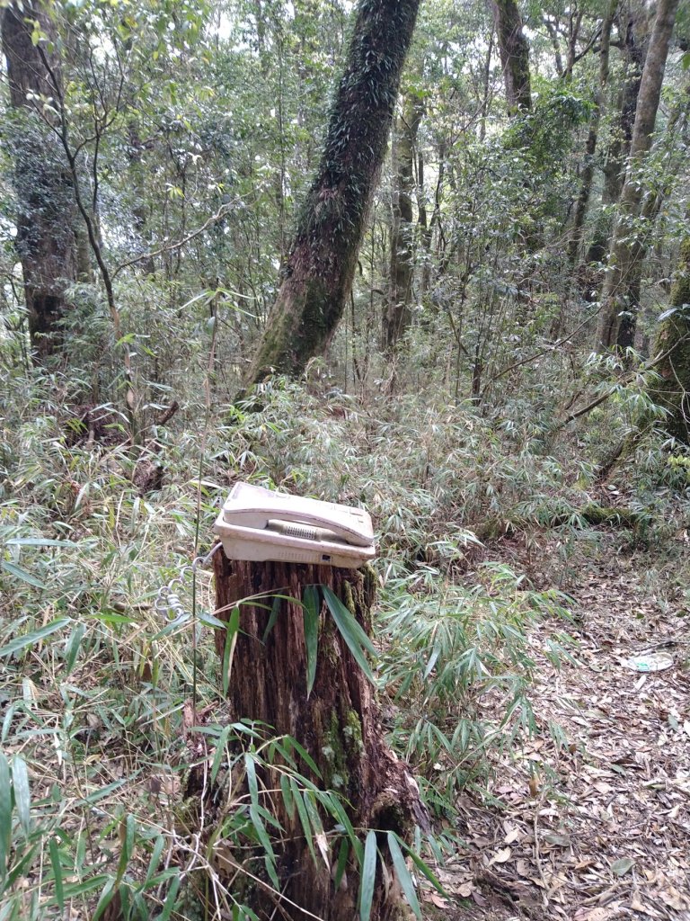 伊利雅娜產道（一般車停車處步行單程約5K產道）至登山口轉接山徑登北霞山往返_2461256
