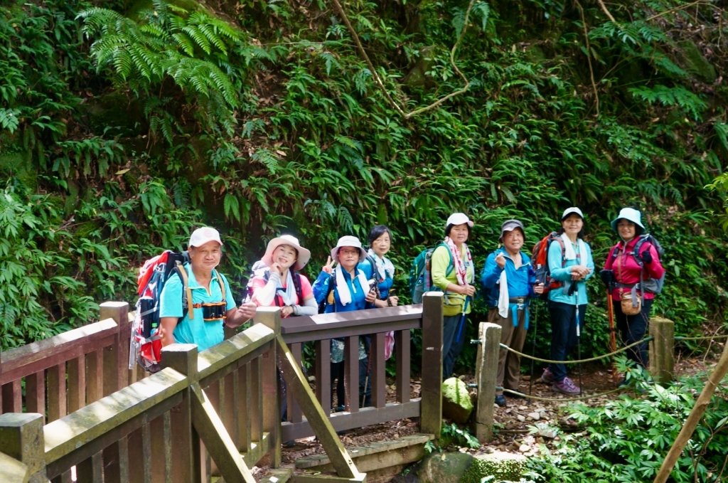 上磺溪橋走魚路古道/金包里城門/擎天崗/冷水坑_2872155