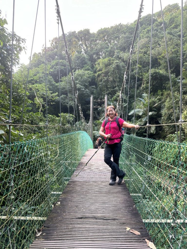 阿拔泉山、觀音石山、紅南坑山、獨立山_2650813