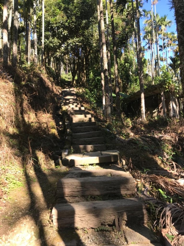 樟腦寮車站上獨立山奉天岩泡茶煮泡麵大巃頂看群峰美景_469923