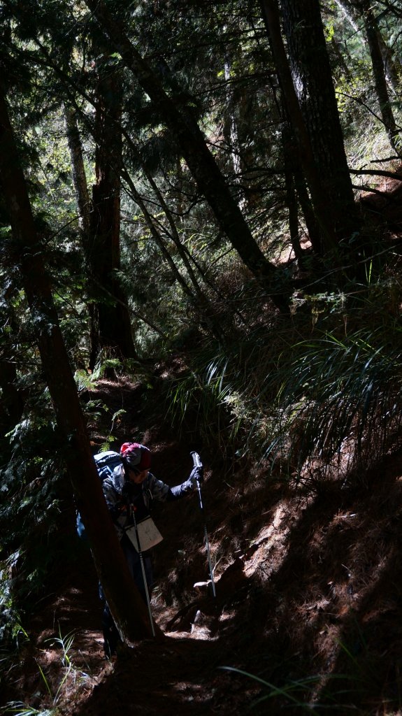 志佳陽雪山之毅_465969