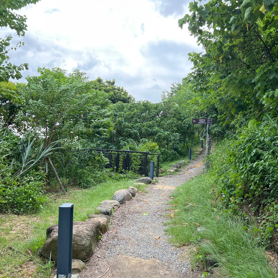 文山森林公園封面圖