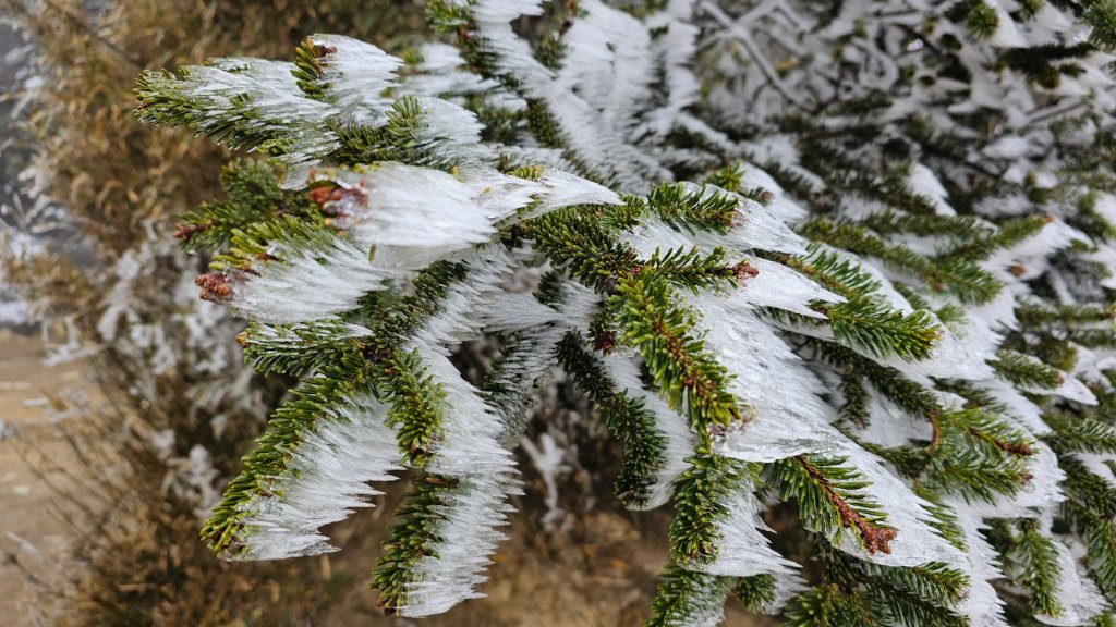 112.3.13～3.14 冰封奇萊主北_2074296