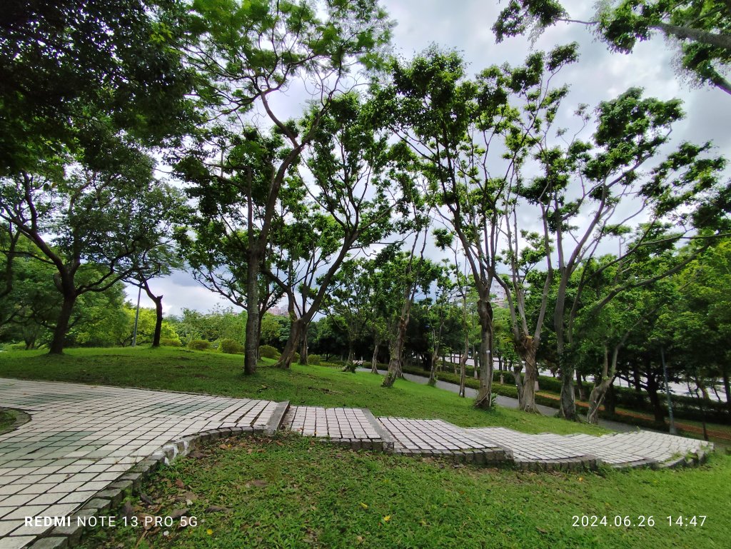 大安森林公園【走路趣尋寶】【臺北健走趣】_2536239