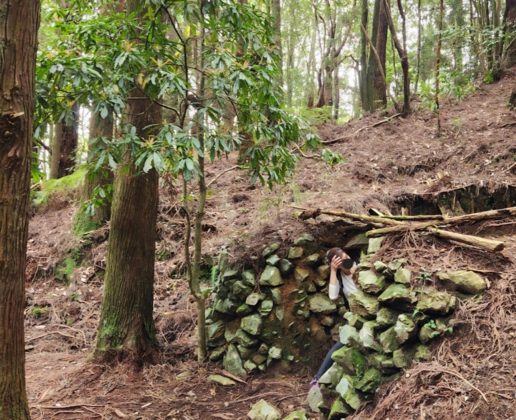 【中級山】五星級步道，谷關七雄馬崙山（八壯士進，斯可巴出）_2744937