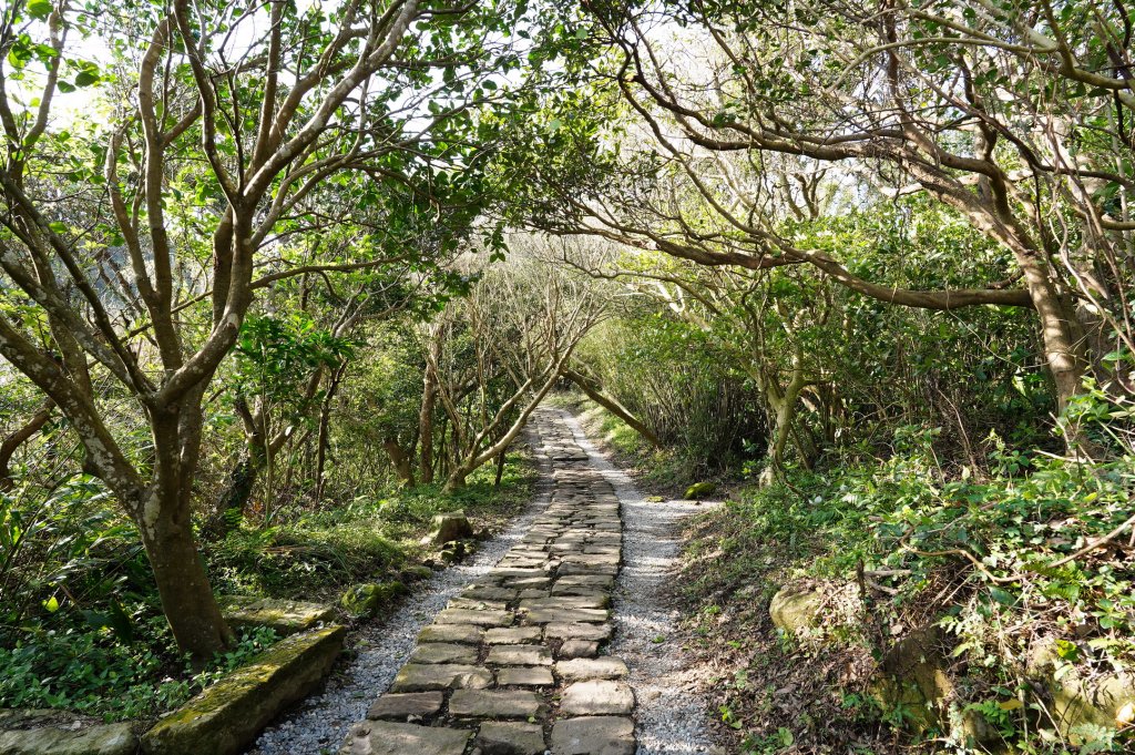 新北 八里 觀音山、牛港稜山_2681338