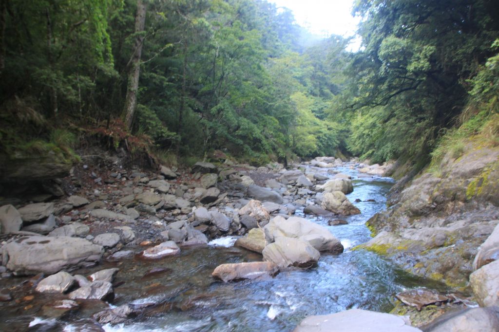 2014北一段_137937