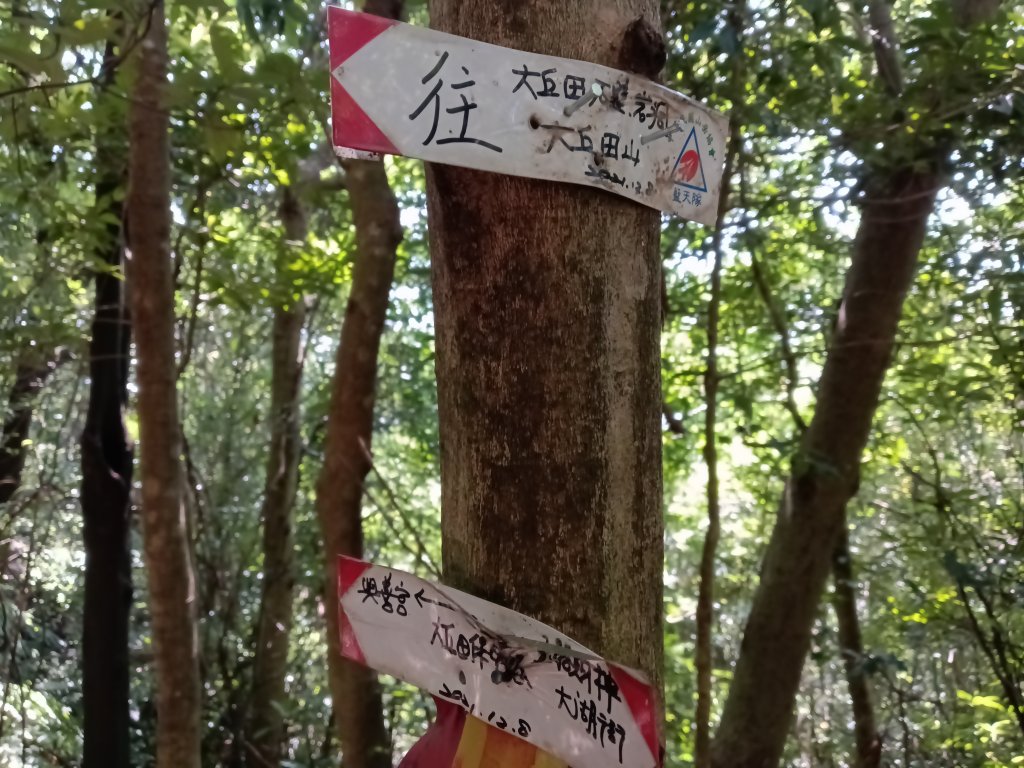 內湖區大丘田保甲路+開眼山+白石湖山+白石湖山東峰+大邱田山+消防山O型_2858878