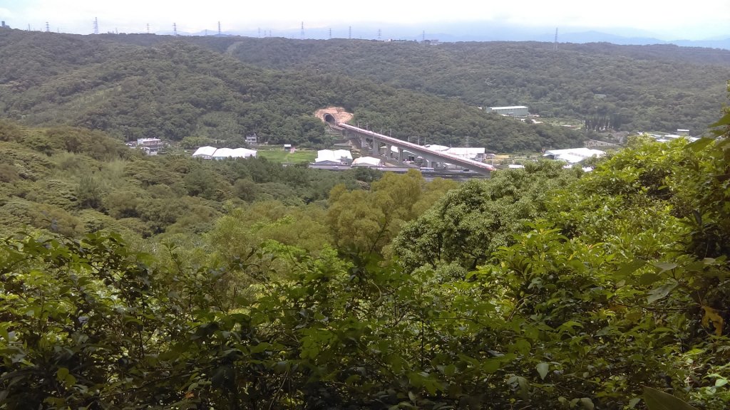 桃園蘆竹羊稠森林步道輕鬆行封面圖