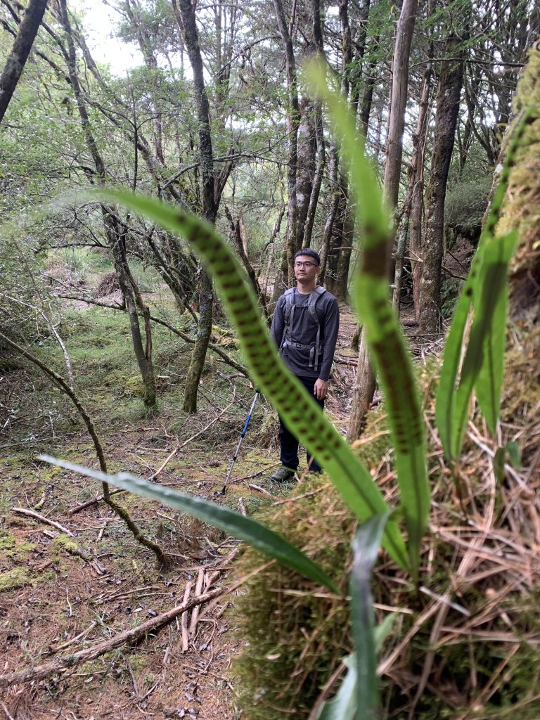 20231106高雄塔關山_2353951