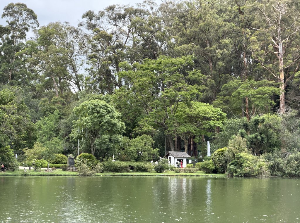 [紐約馬之行-69] 2025_1116 伊比拉布埃拉公園-下封面圖