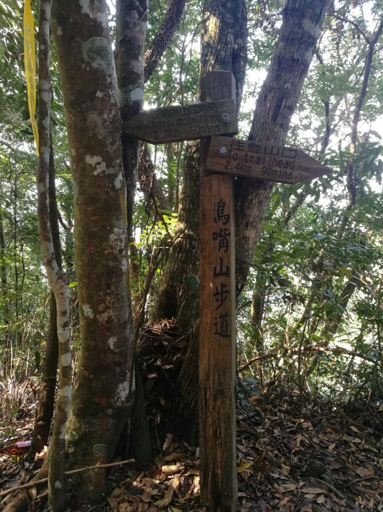 鳥嘴山（上島山）封面圖