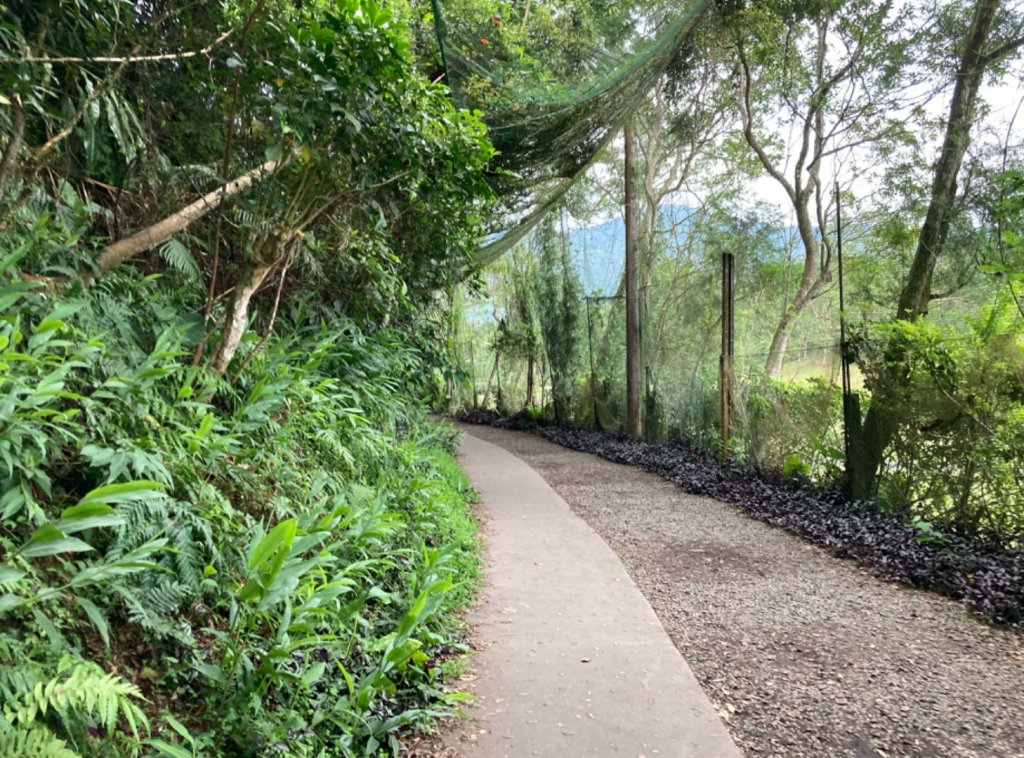 林美石磐步道_2297929