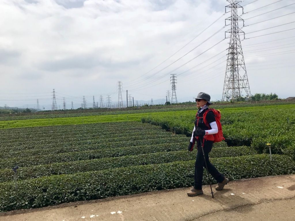 清水岩十八彎走橫山_352965
