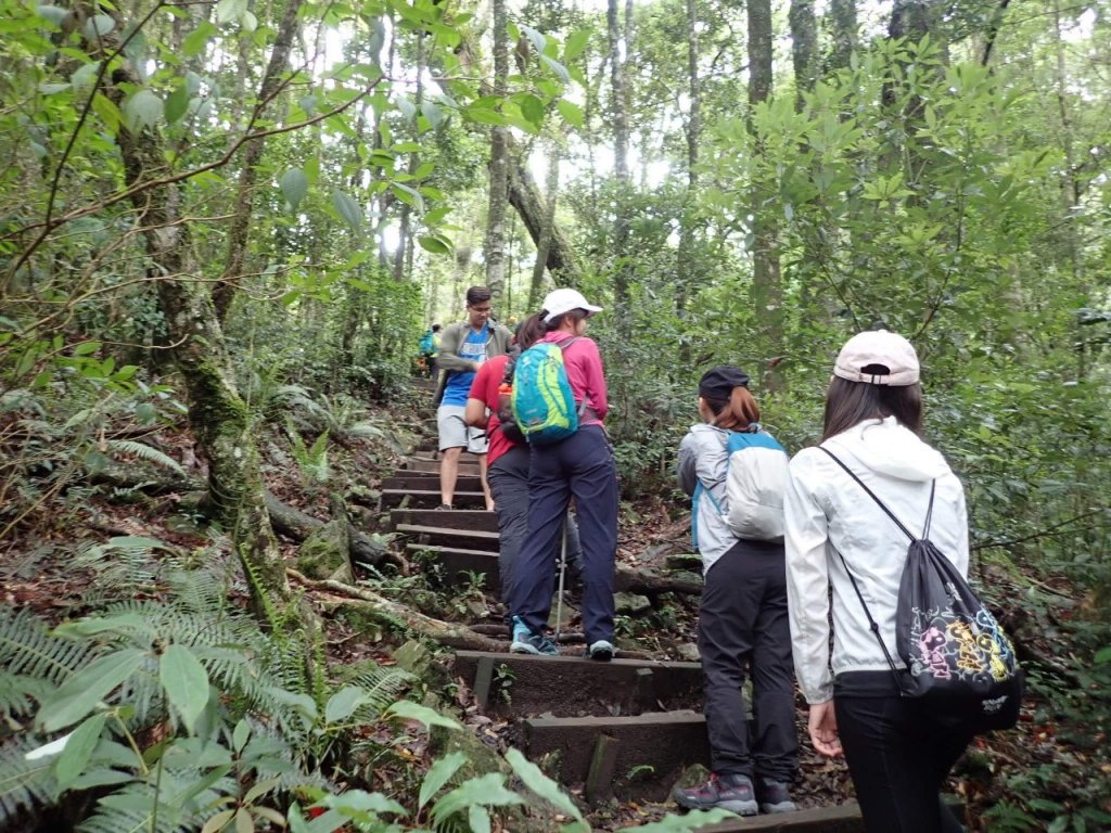 鳶嘴山 ，挑戰你的高度極限_1114194