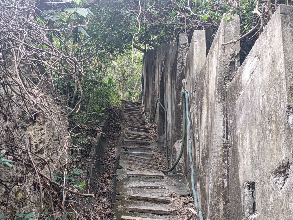 【台灣健行】壽山國家自然公園_2718930