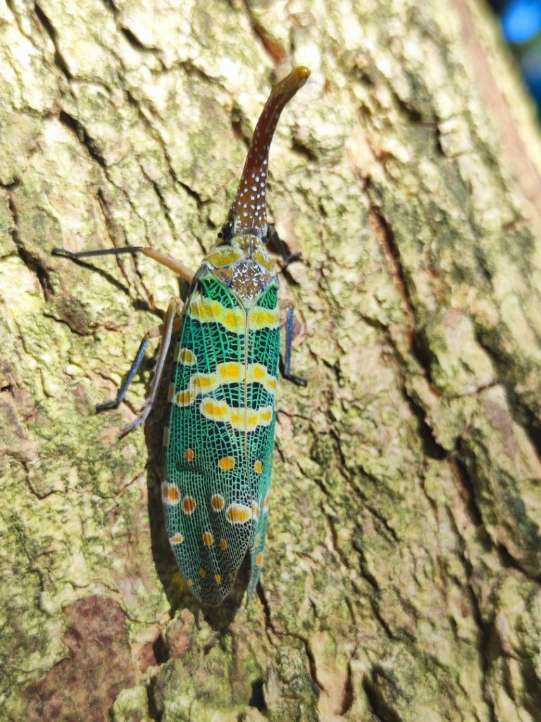 後花園散散步_2879342