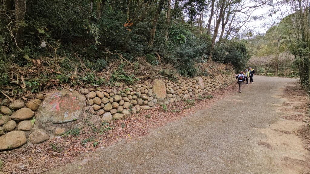 20260127三通嶺山.三義山(大桁茂山).慈濟山.大坪山大O走_2989947