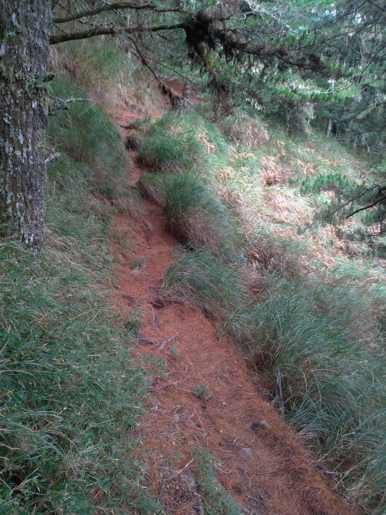 【花蓮縣秀林鄉】屏風山(單攻)_1231976